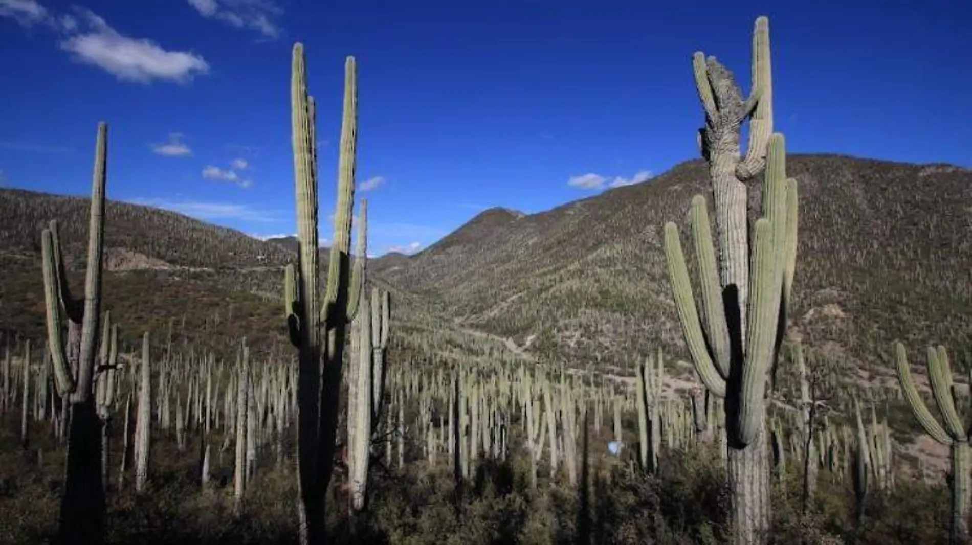 Area natural Puebla